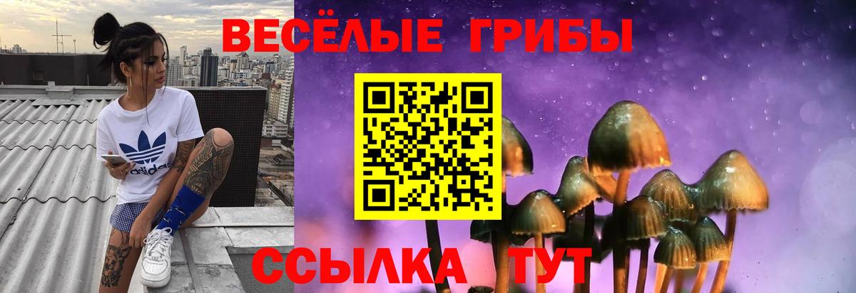 магазин продажи наркотиков  Псилоцибиновые грибы MAGIC MUSHROOMS  Вход с VPN  Новокузнецк 